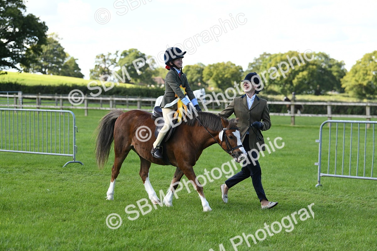 SBM_39709 - S18 - Novice & Newcomers Lead Rein Pony