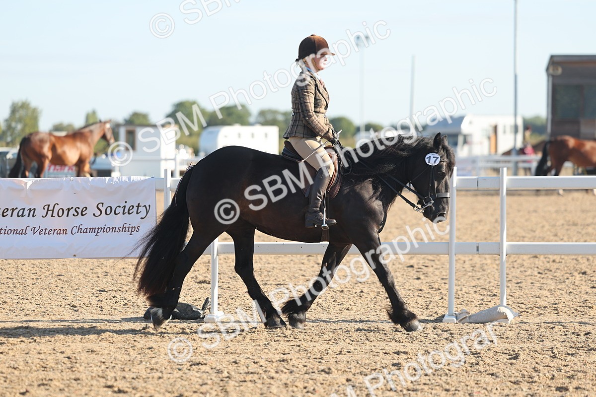 SBM_10951 - Class 302 - Ridden M&M Large Breeds