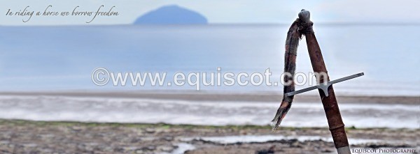 equiscot 2124 - MMi - Clan Wallace Movie Mercenaries International