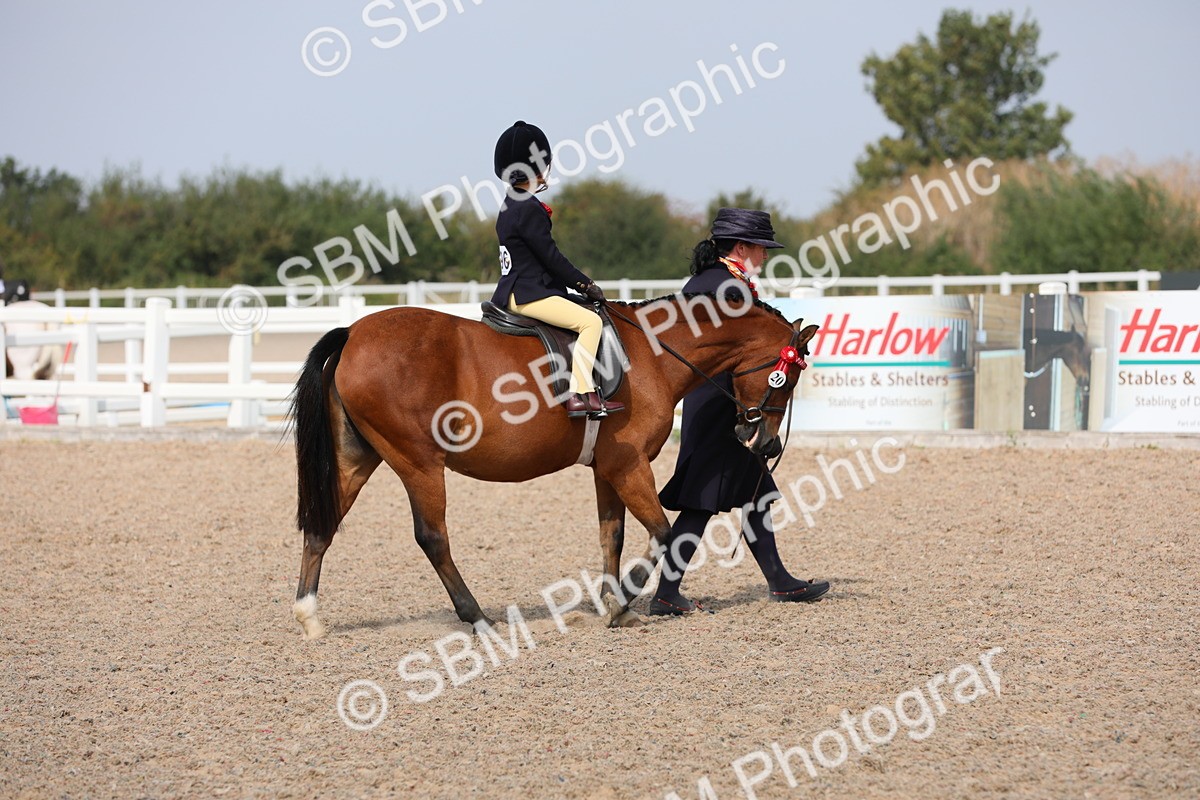 SBM_13967 - Class 309 Lead Rein Pony