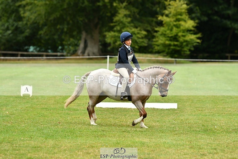 250820A-111751-04992 - 11am to 12