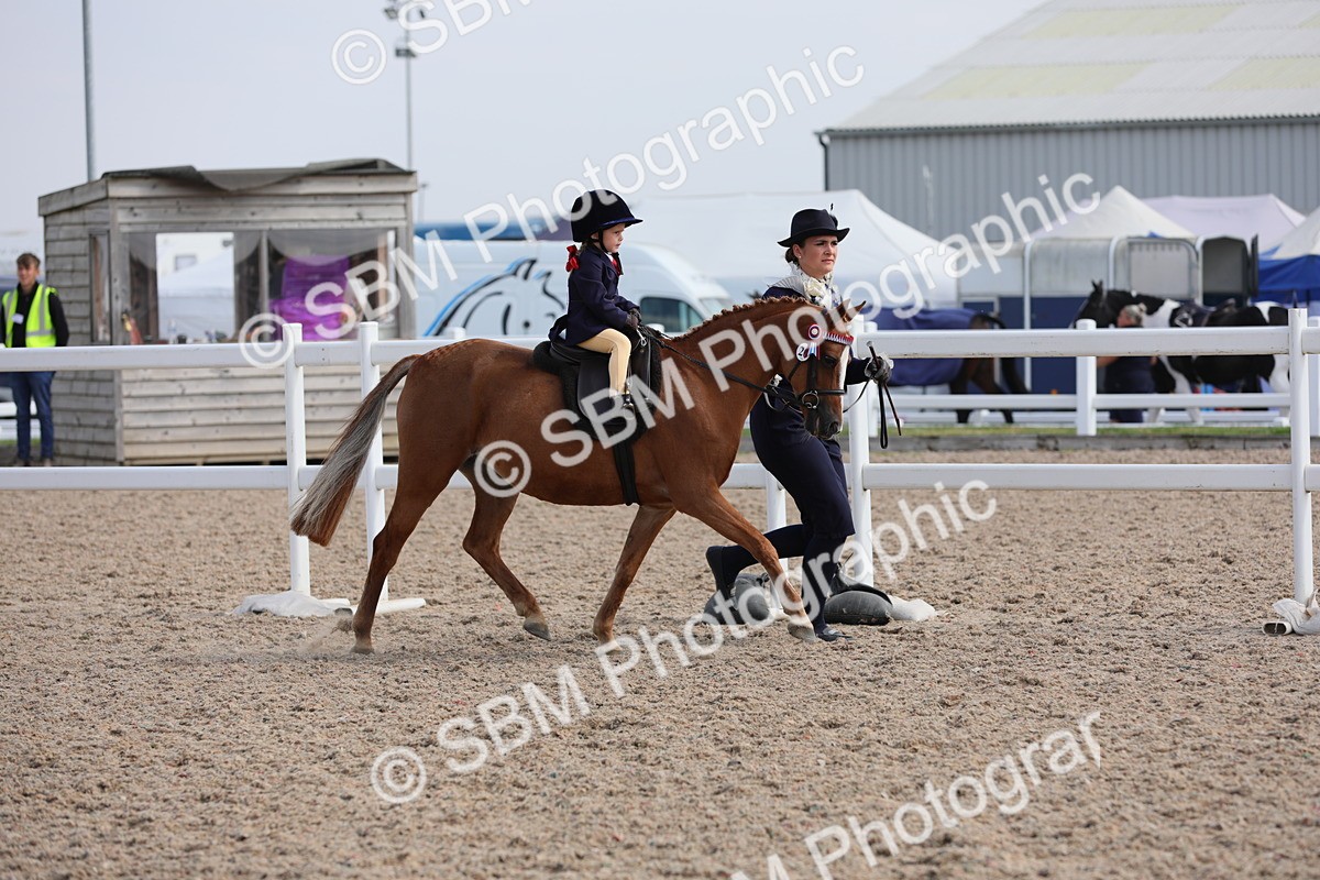 SBM_13972 - Class 309 Lead Rein Pony