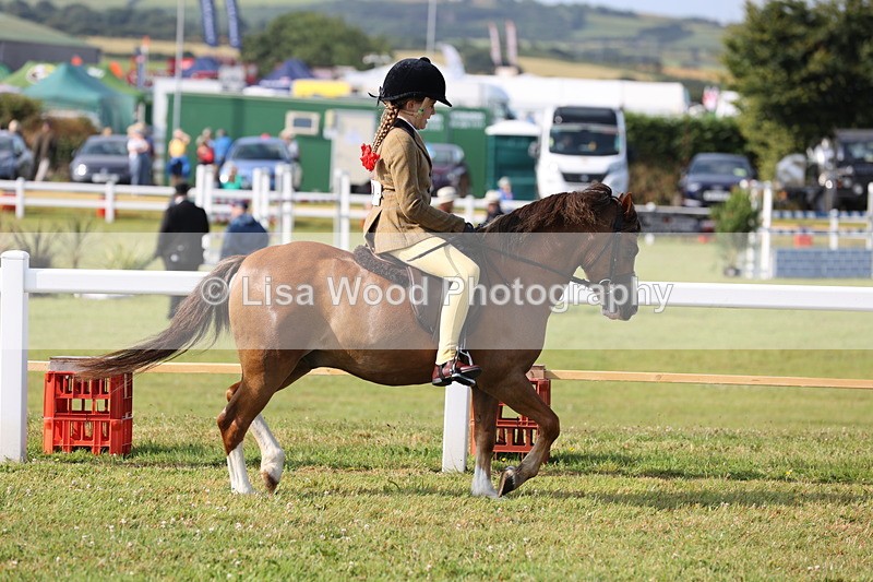JPP_0519 - Class 15: Cornish Combination First Ridden
