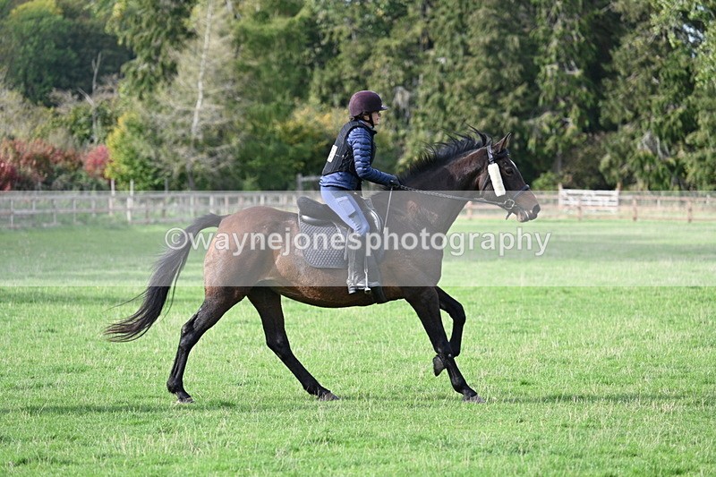 WJ7_1114 - Time 14:27 to 15:11