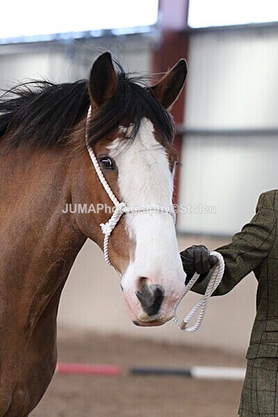 SIAL0271 - Indoor Classes