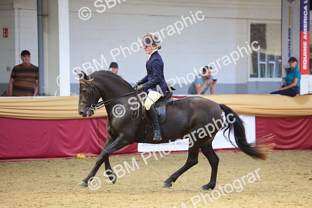 SBM_24596 - Class 906 - Supreme Final - Ridden Pre Vet