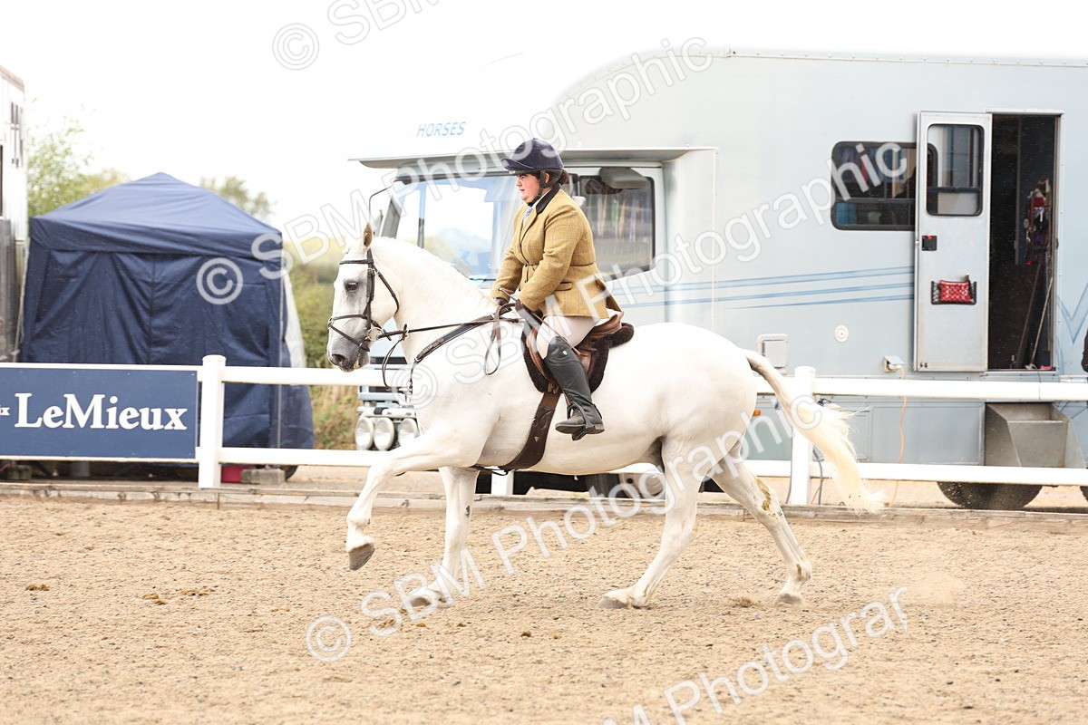 SBM_06777 - Class 58a -  Style & Performance - 70cm (15-19)