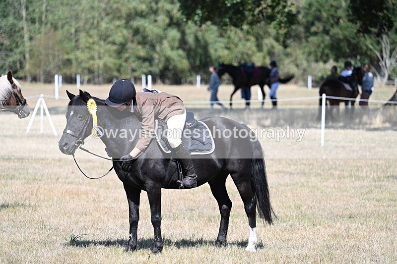 WJ7_4163 - Class 9 Mountain & Moorland Ridden