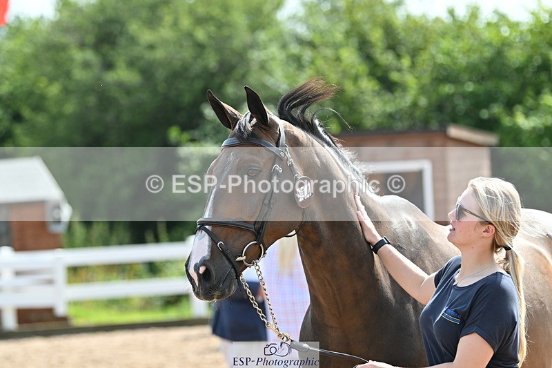 240717A-154627-03061 - Trot Up 3pm to 4pm