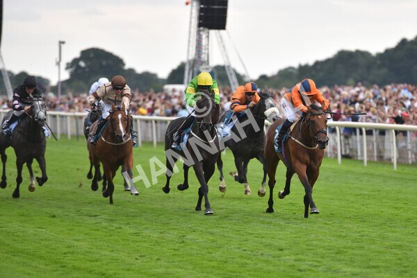 yr23072022r7-25 - Race 7 5.35pm Sky Bet Paying Extra Places Stakes