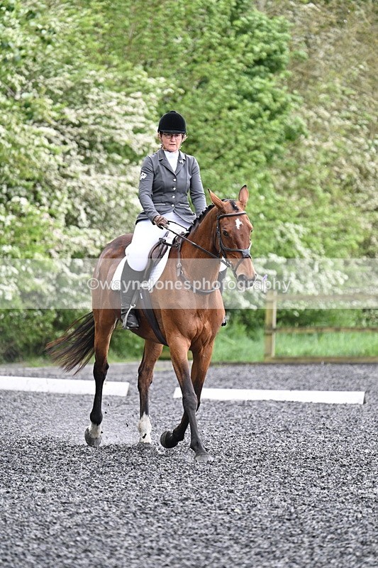 WJ7_1173 - Time 14:16 to 14:55