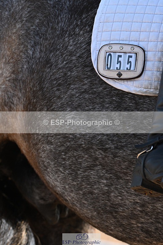 250816-090536-02832 - 055-Neve.HollowaySD.Out.of.the.Blue