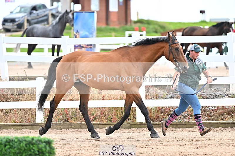 240718A-105326-02000 - Trot Up 2pm to 3pm - This folder is not in time order