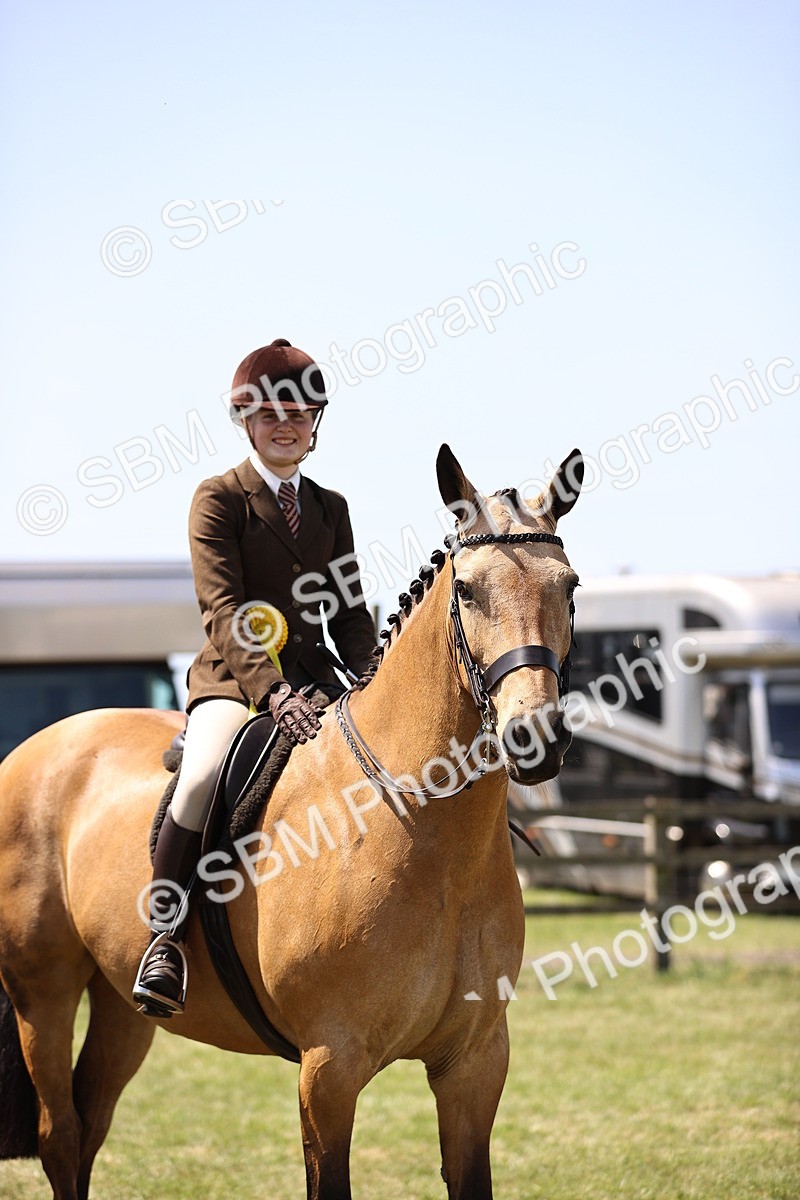 SBM_15239 - Class 79-80 - LIHS BSHA Rising Star Ridden Hunter