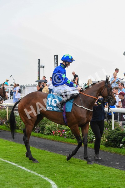 100923-Race 6-Anjo Bonita-0980 - Race 6 4.25pm Hanson Springs 60th Anniversary Handicap at York