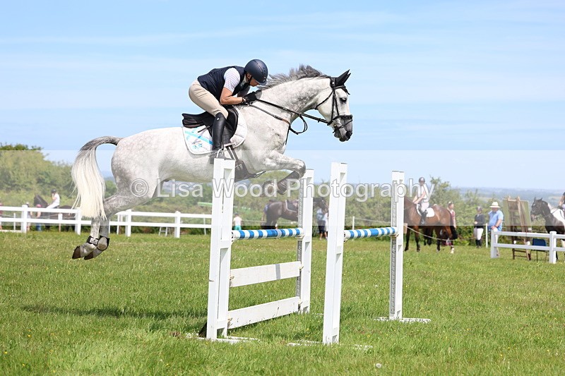 3E7A1318 - Class 12: Senior Foxhunter/1.20 open