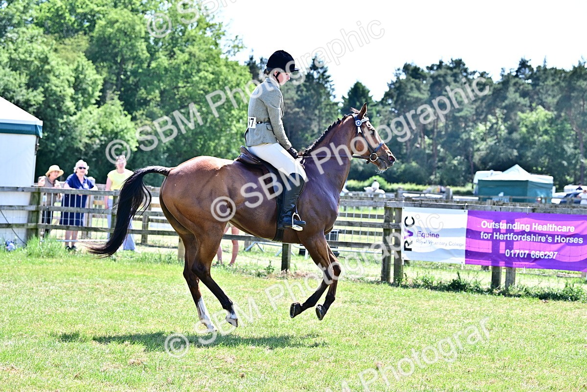 SBM_18197 - Class 99-100 - Retraining of Racehorses Ridden