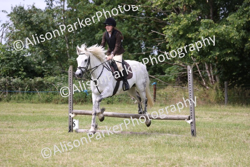 20260614-4053 - Class 24 - Mini and Major Pairs Jumping