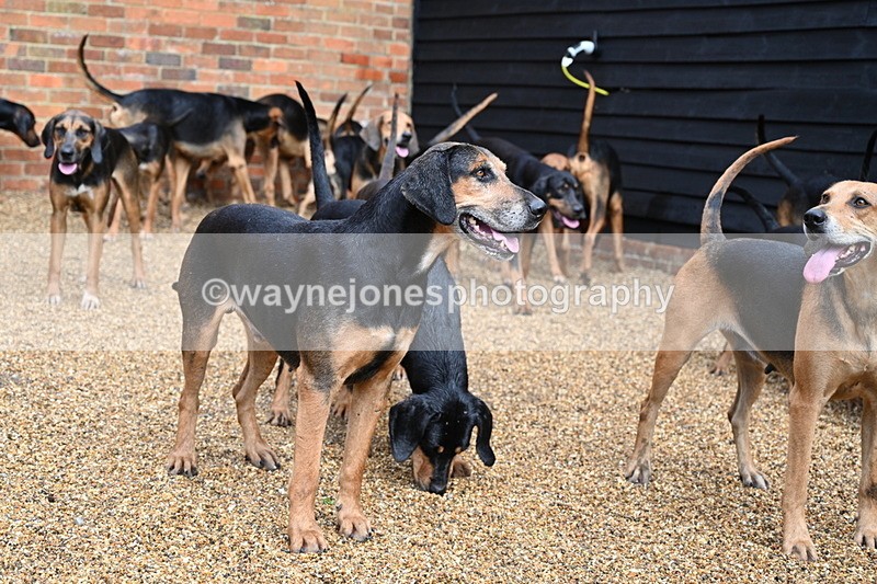 WJ7_6988 - Berks & Bucks at Blandy’s Farm 31-08-25