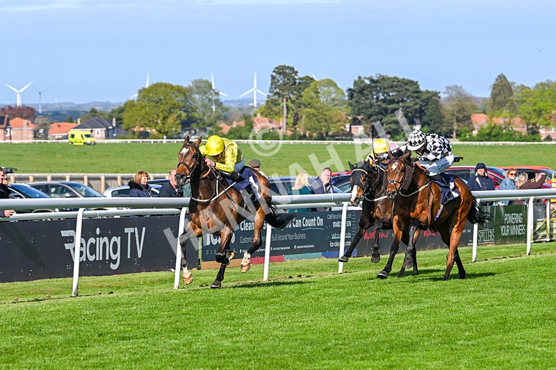 240425-Race 7-Mister Daydream-1792 - Race 7