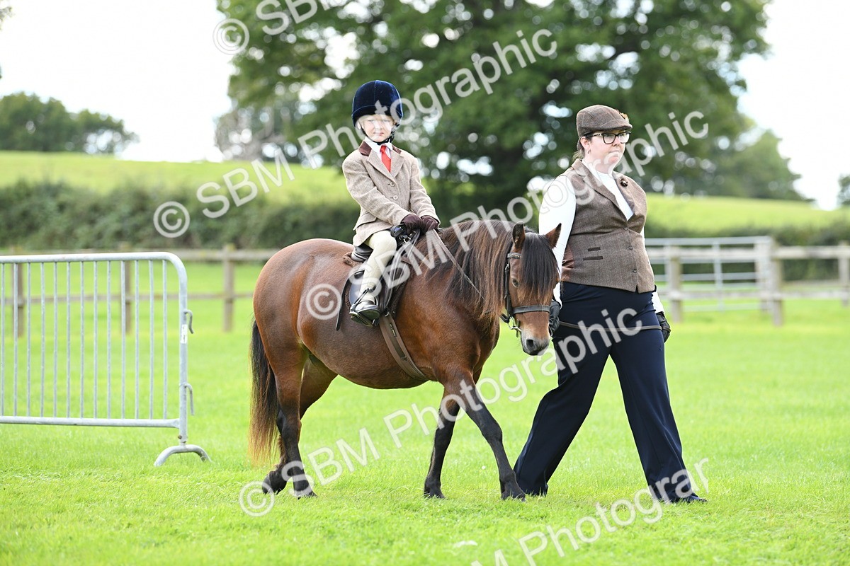 SBM_42414 - S20 - Lead Rein Mountain & Moorland Pony