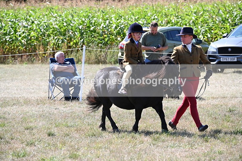 WJ6_8096 - Class 36 Lead Rein