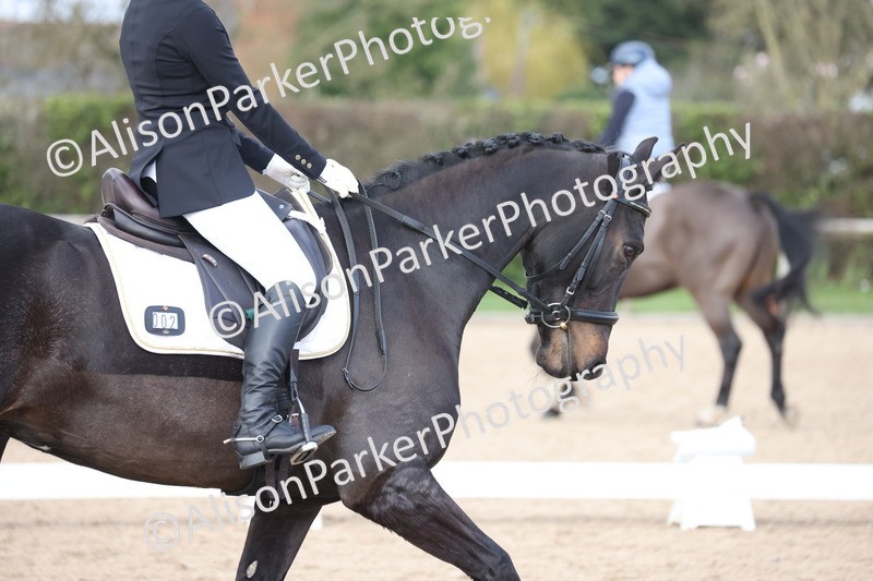 20260301-0798 - Class 5 - Elementary 4