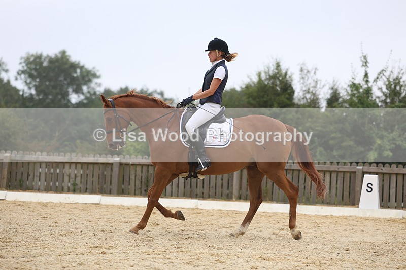 3E7A7419 - Class 9: Elementary 4 2024 - No sections