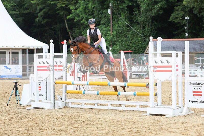 3E7A6874 - Class 13: Pony British Noise/80cm open