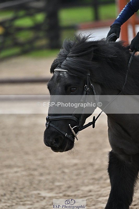 241110-101547-00231 - 40cm Showjumping