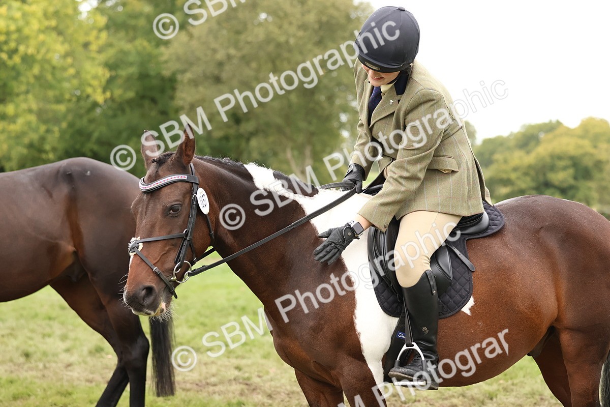 SBM_59949 - S36 - Rehabiliated Rescue Horse & Pony In Hand & Ridden