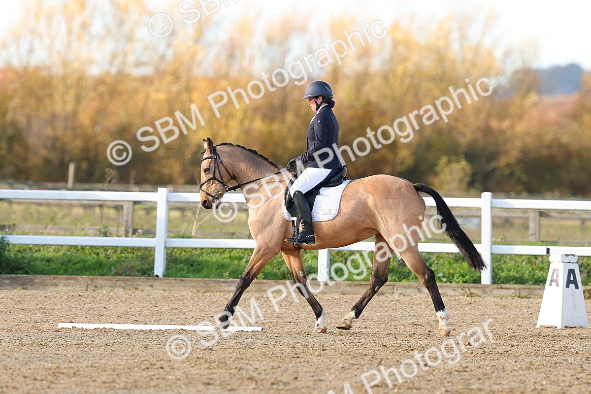SBM_001081 - Novice 5