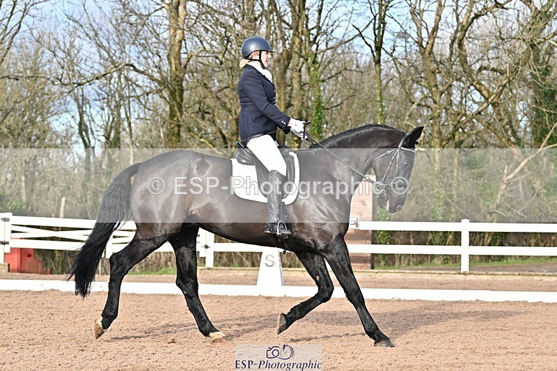 241214-130218-01810 - 156-Jo.Roberts-MajesticC