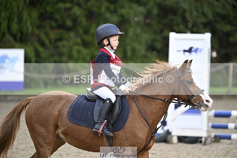 251005A-090749-02952 - Cls 02 GR 50cm