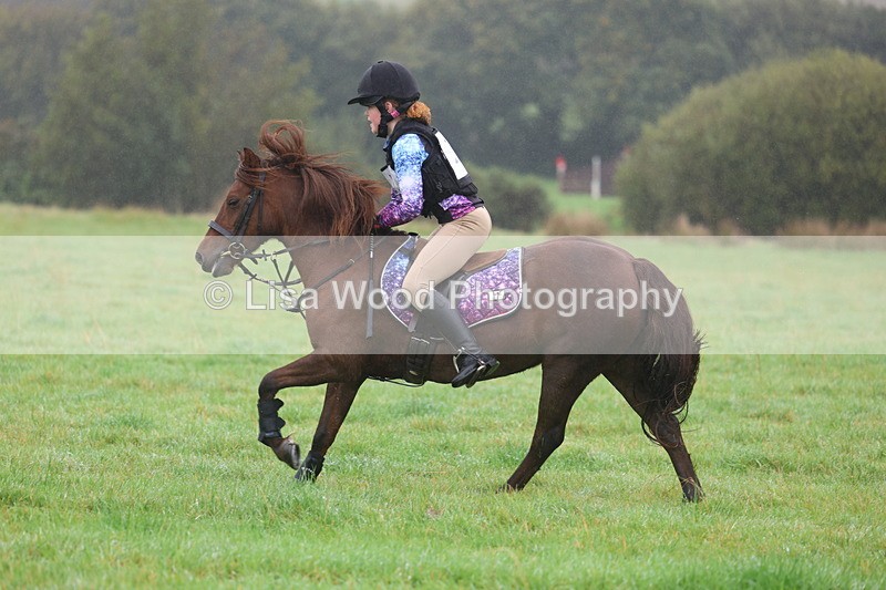 3E7A0776 - Class 1: 65cm: Rails