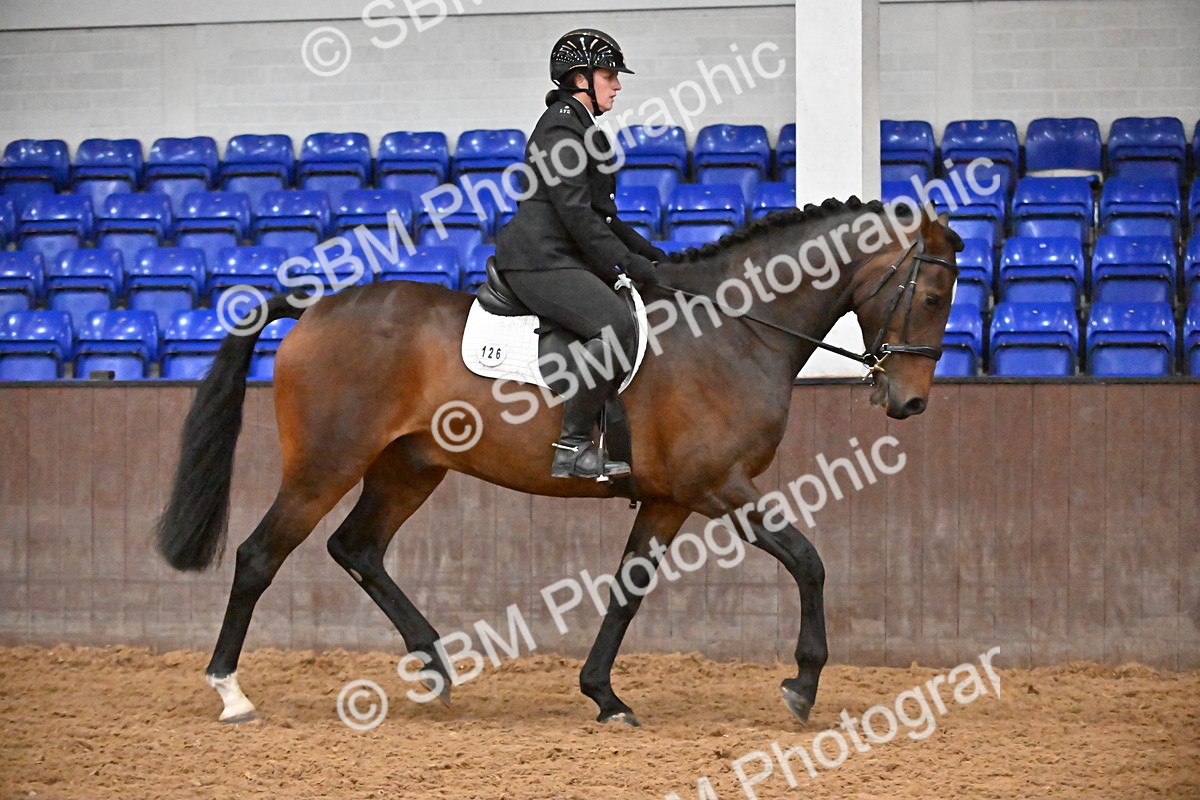SBM_002971 - Class 37,38 - UKPSAF Performance Horse & Pony