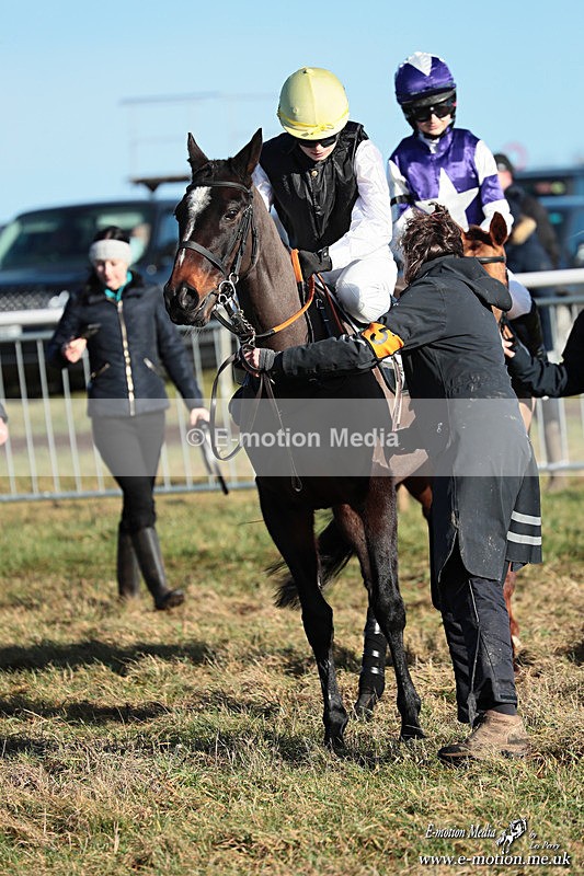 PR PtP 240126 306 - Pony Racing Horseheath 24/01/26