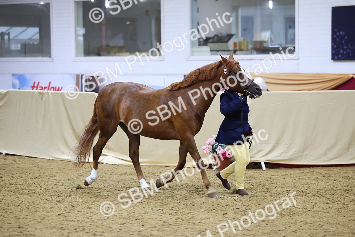 SBM_19701 - Class 901 - Supreme Final - IH Diamond