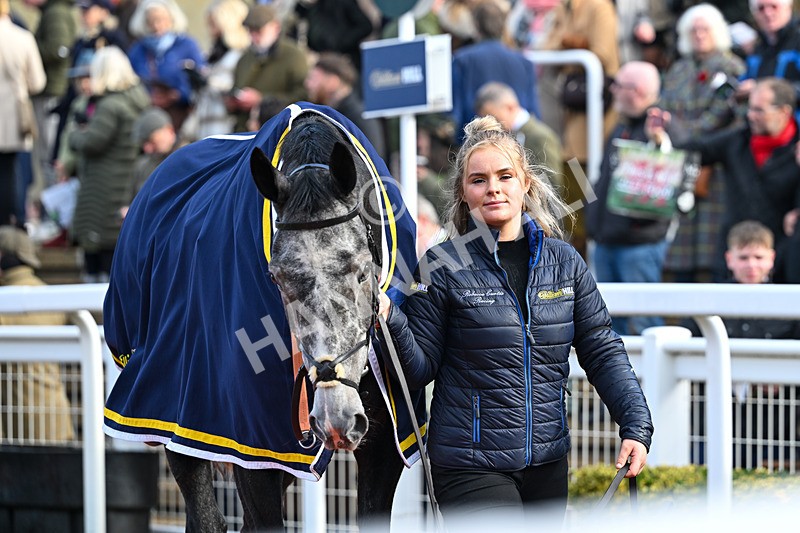 251025-Race 2-Inishcorker-7252 - Race 2