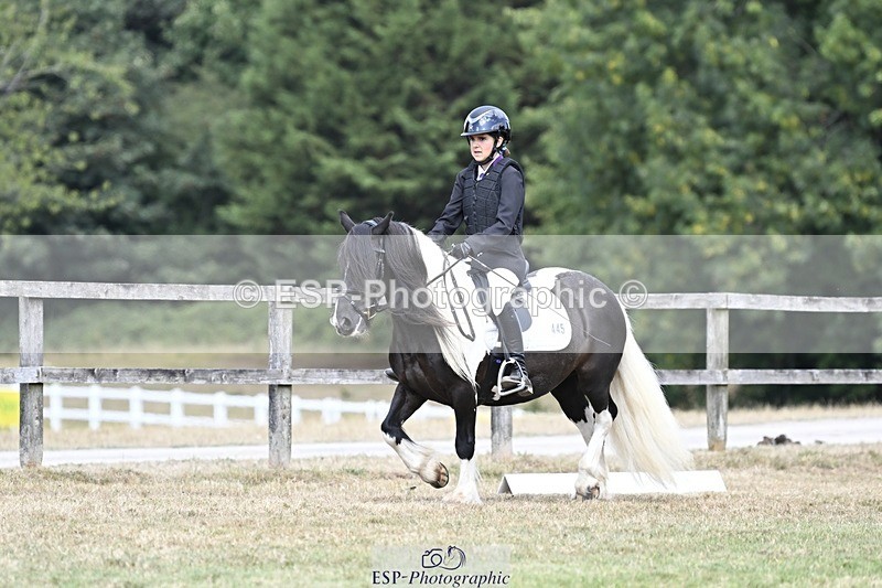 250821A-114312-15305 - DR 11.00 to 12.00