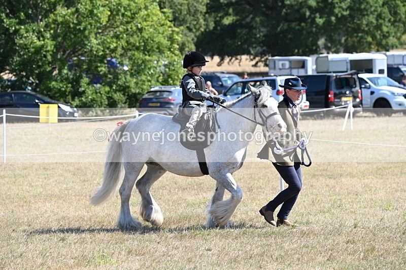 WJ6_7811 - Class 36 Lead Rein