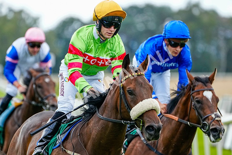 050926-Race 5-Grasmere Boy-5 - Race 5 3.50pm Rudding Park Harrogate Handicap