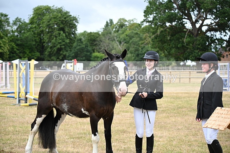 WJ6_4475 - Class 10 Coloured In-hand