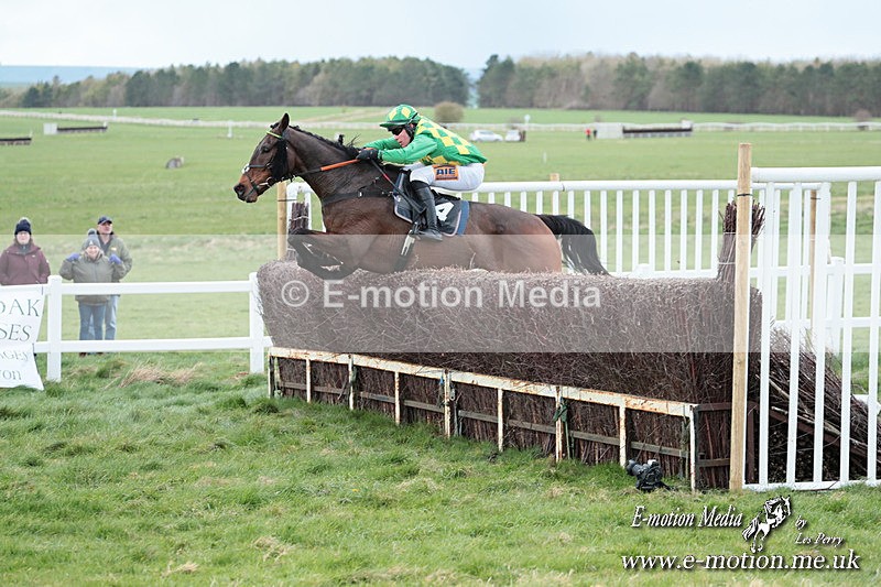 PtP 230324 699 - Tedworth Hunt PtP Larkhill Raccourse 23rd March 2024