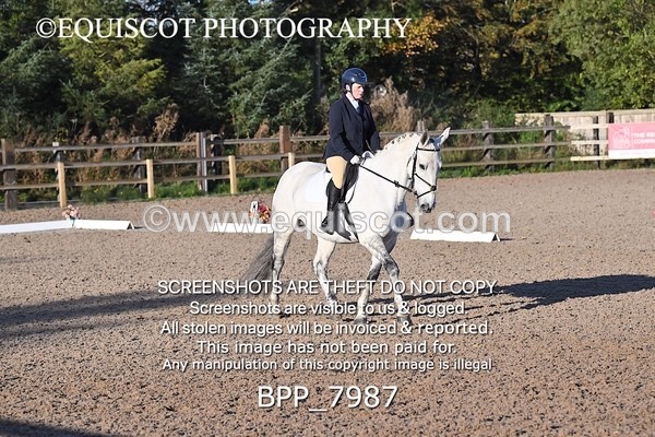 BPP_7987 - LONG ARENA