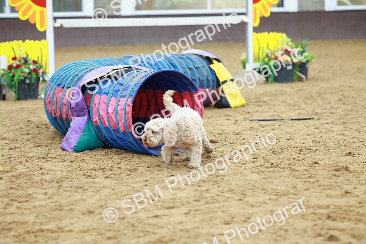 SBM_002361 - Class 3 - Horse & Hound (60cm)