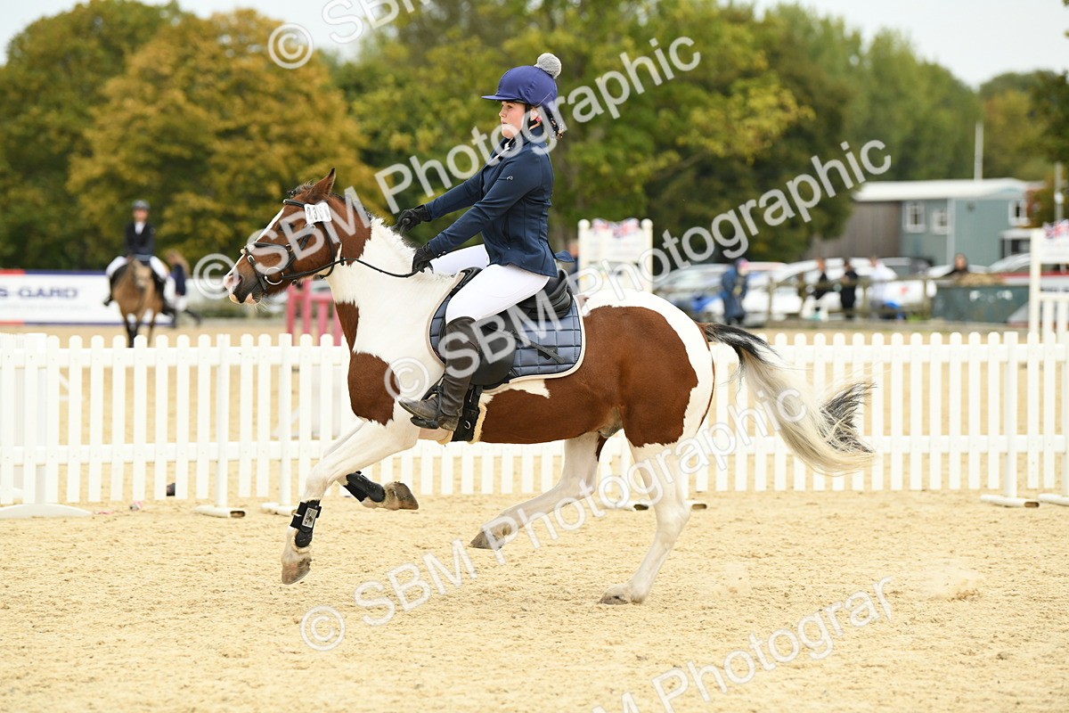 SBM_73179 - J16 - Junior Pony 75cm Championship