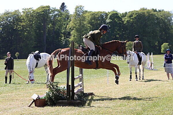 IMG_4561 - Working Hunter