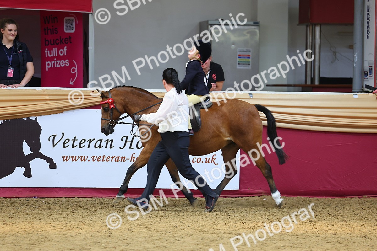 SBM_24005 - Class 905 - Supreme Final - Ridden Veteran