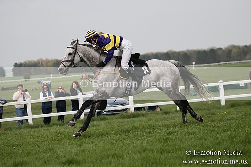 PtP 210418 292 - South & West Wilts Point-to-Point Larkhill 21/04/18
